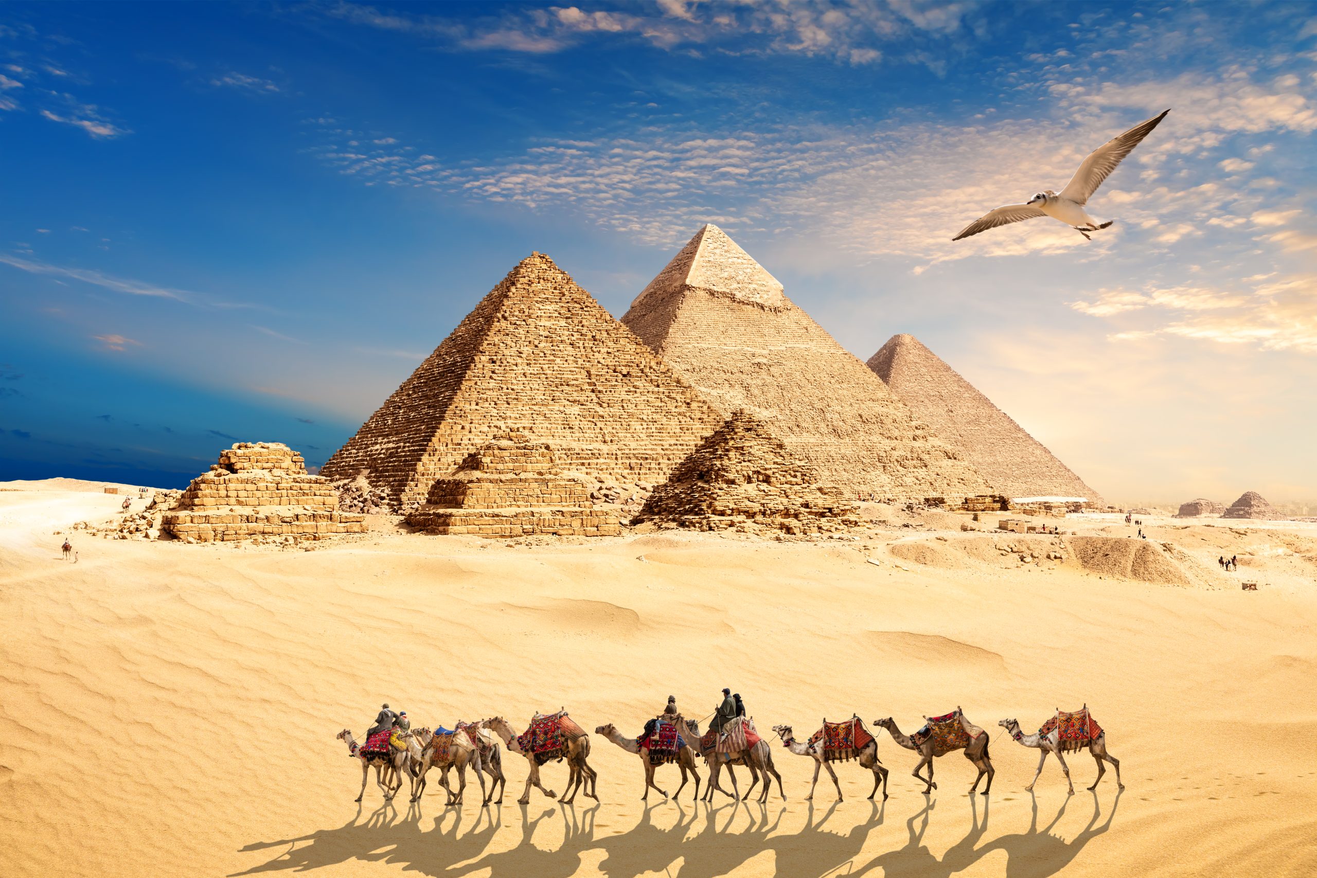 Voyage au pays des Pyramides